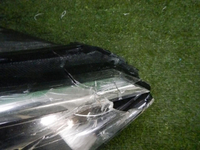 DSCN6933.jpg