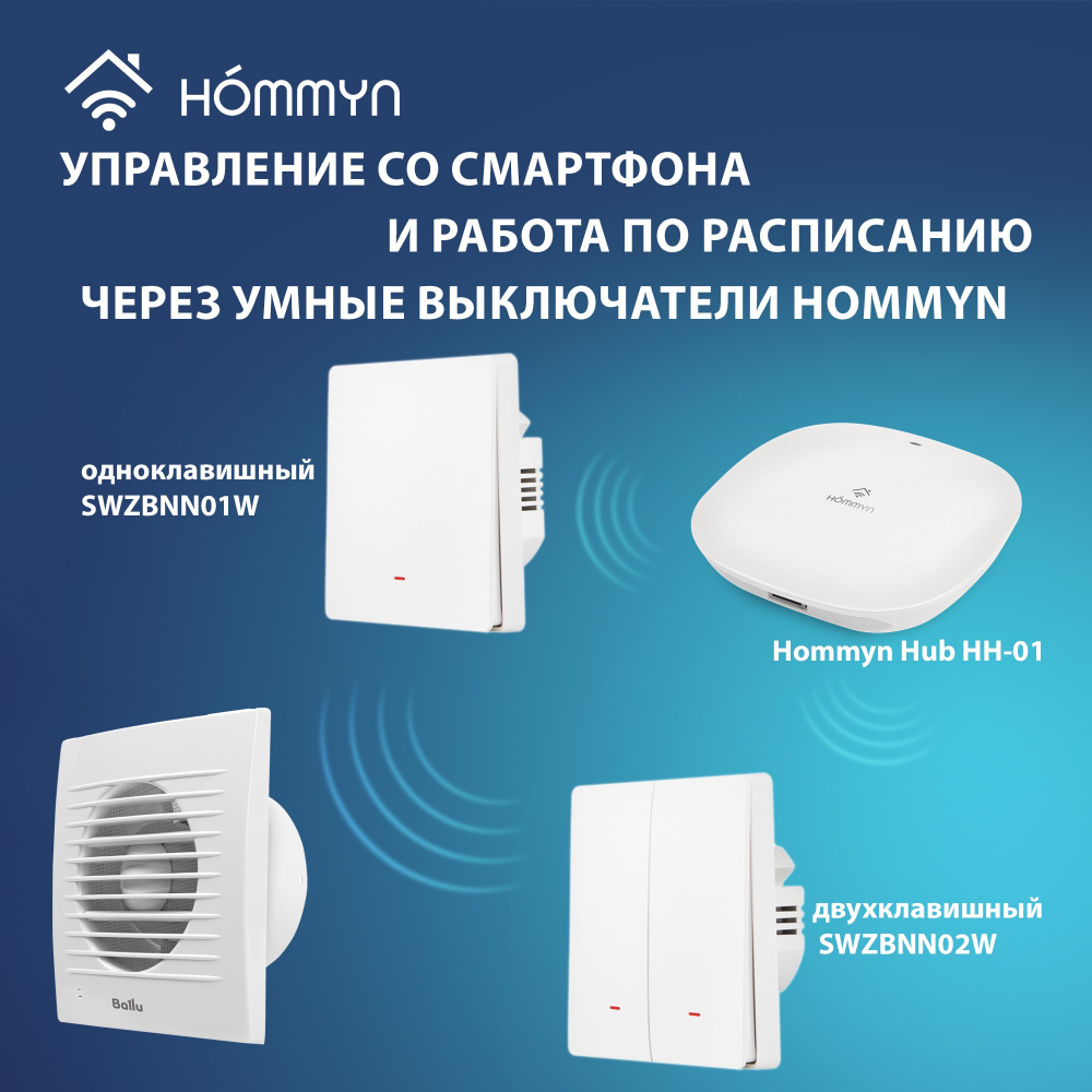 Вентилятор вытяжной Ballu BAF-FW 120 N с антимоскитной сеткой
