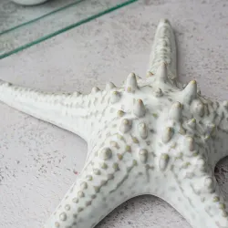 Блюдо для подачи 24 см h6 см для закусок Звезда Gray Starfish Frutti di Mare P.L. [1]
