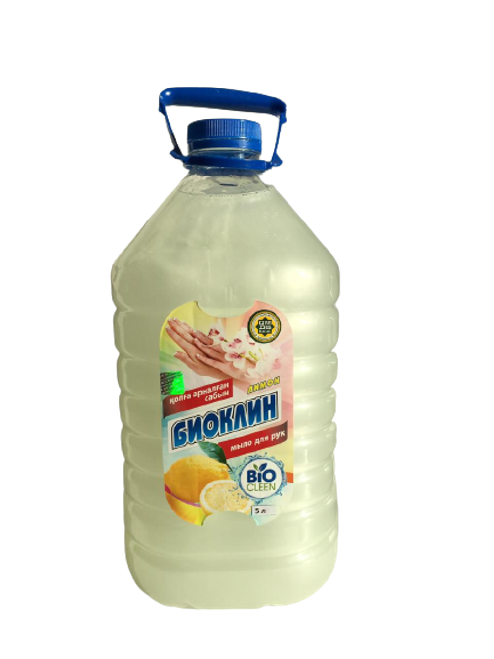 5л