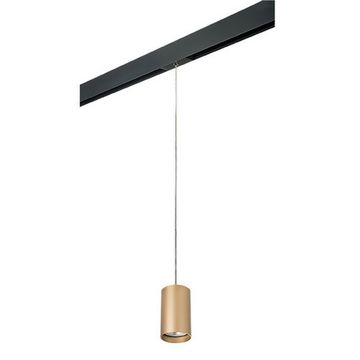 Комплект со светильником 1*GU10 220V PRORP440 золото Rullo Pro Lightstar
