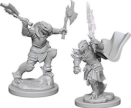 Dragonborn Female Fighter / Драконорождённые воительницы