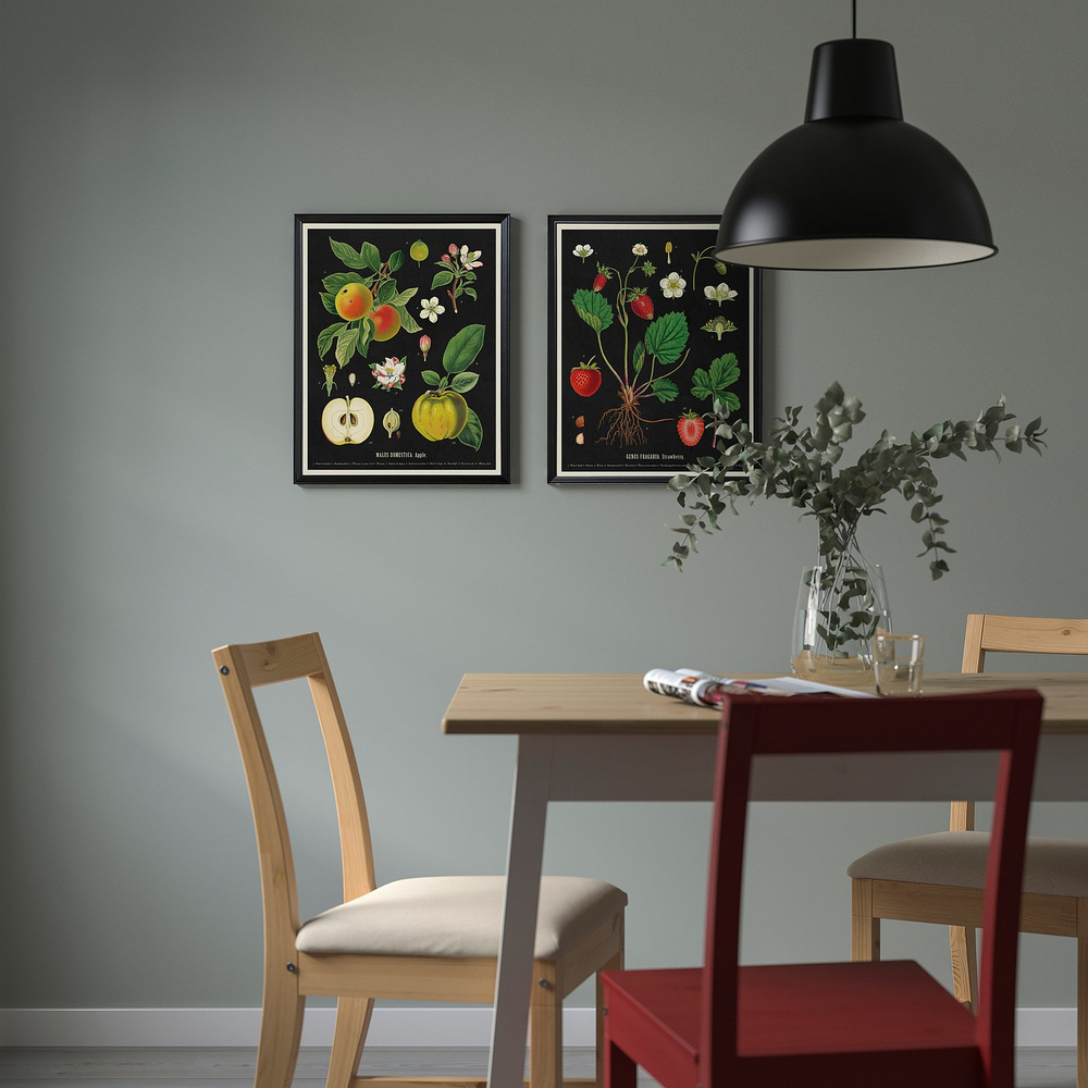 IKEA KNOPPÄNG  (ИКЕА КНОППЭНГ)  -  Рама с постером - винтажные ботанические карточки фруктов 40x50 см