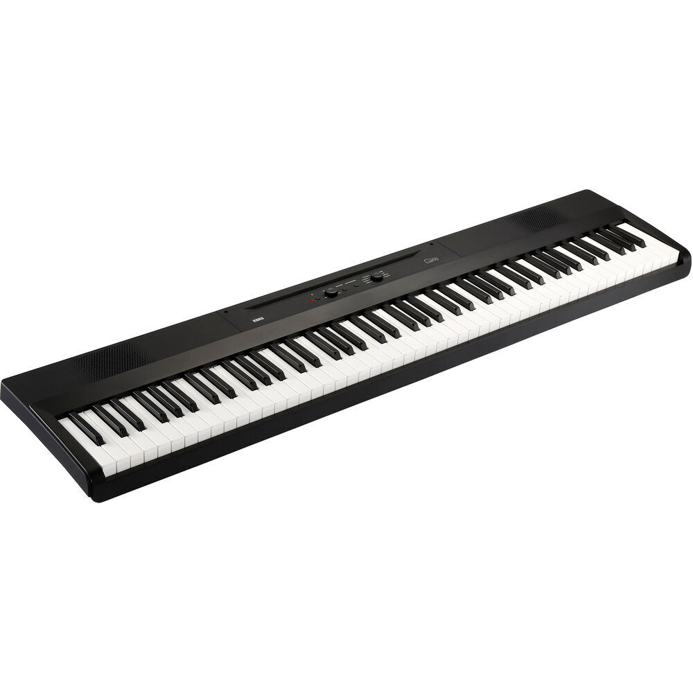 Korg L1