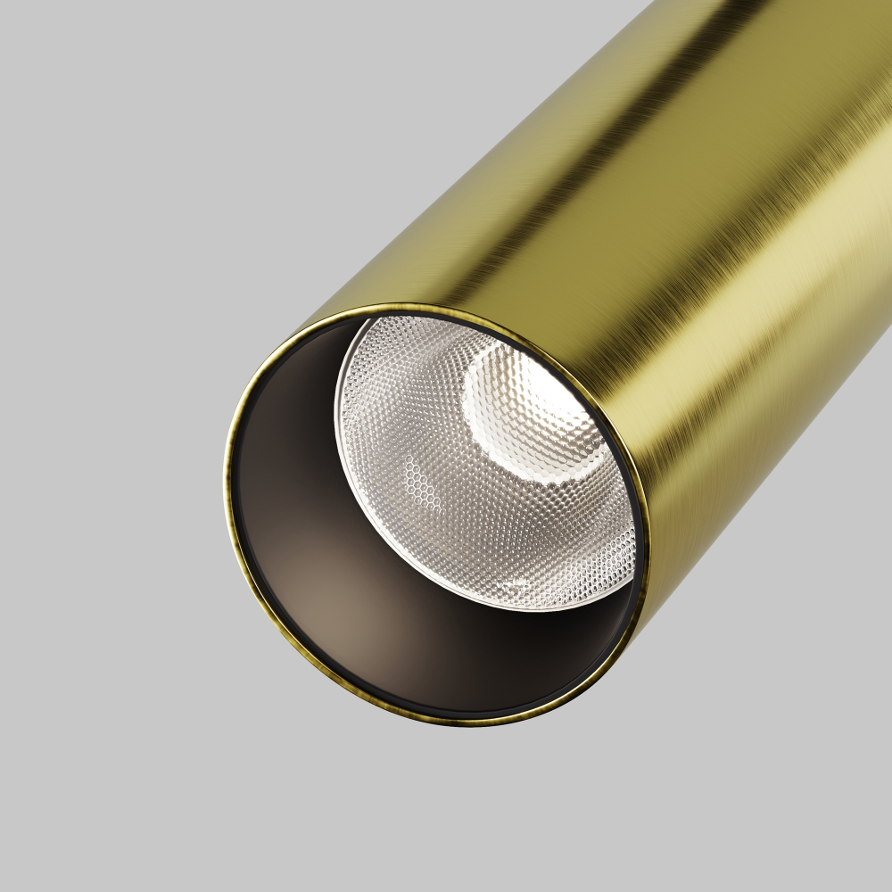 Магнитный трековый светильник Maytoni Focus LED TR032-2-12W4K-M-BBS
