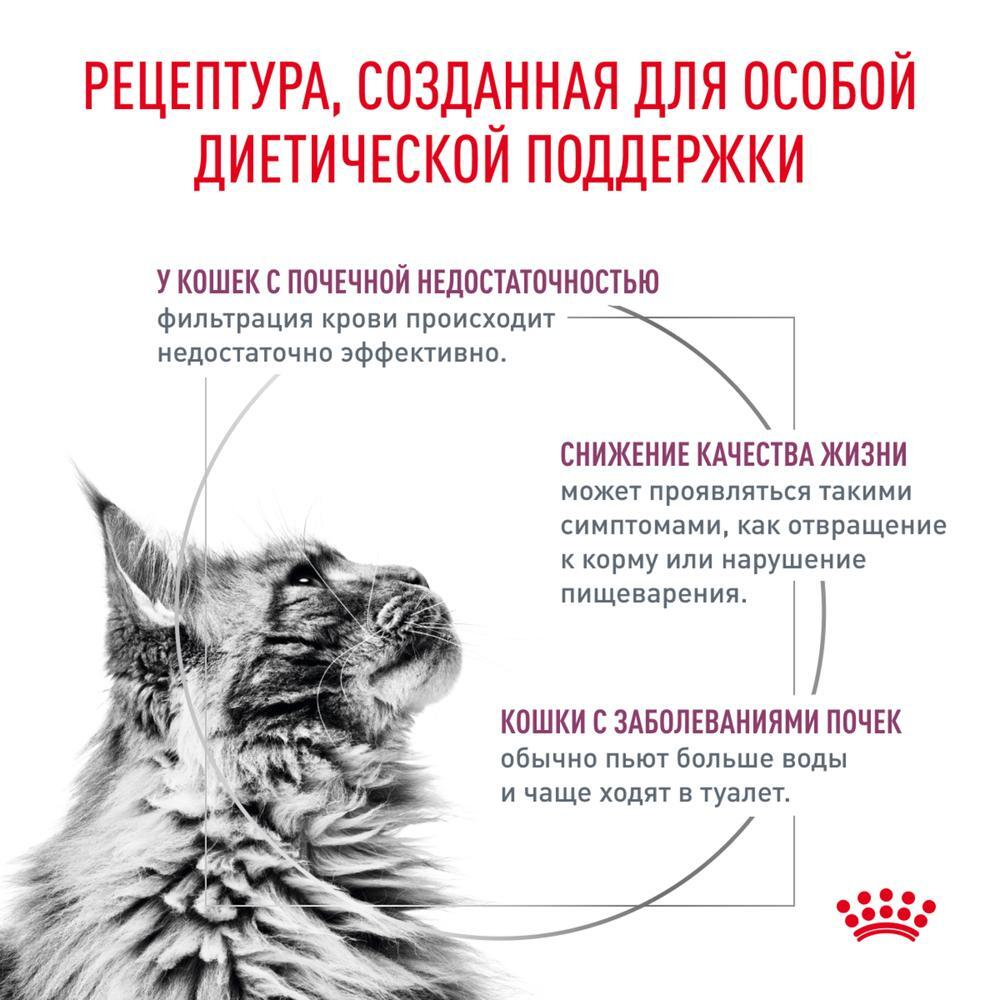 Корм для кошек с проблемами почек, кусочки в соусе с Говядиной Royal Canin RENAL