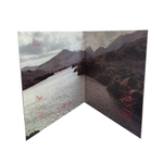 Fruupp / The Prince Of Heaven's Eyes (LP)