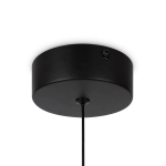 Подвесной светодиодный светильник Freya Helix FR6097PL-L10B