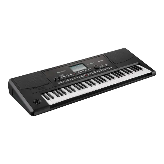 Korg Pa300