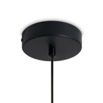 Подвесной светильник Mixture FR5483PL-01B3, E27х1. TM Maytoni