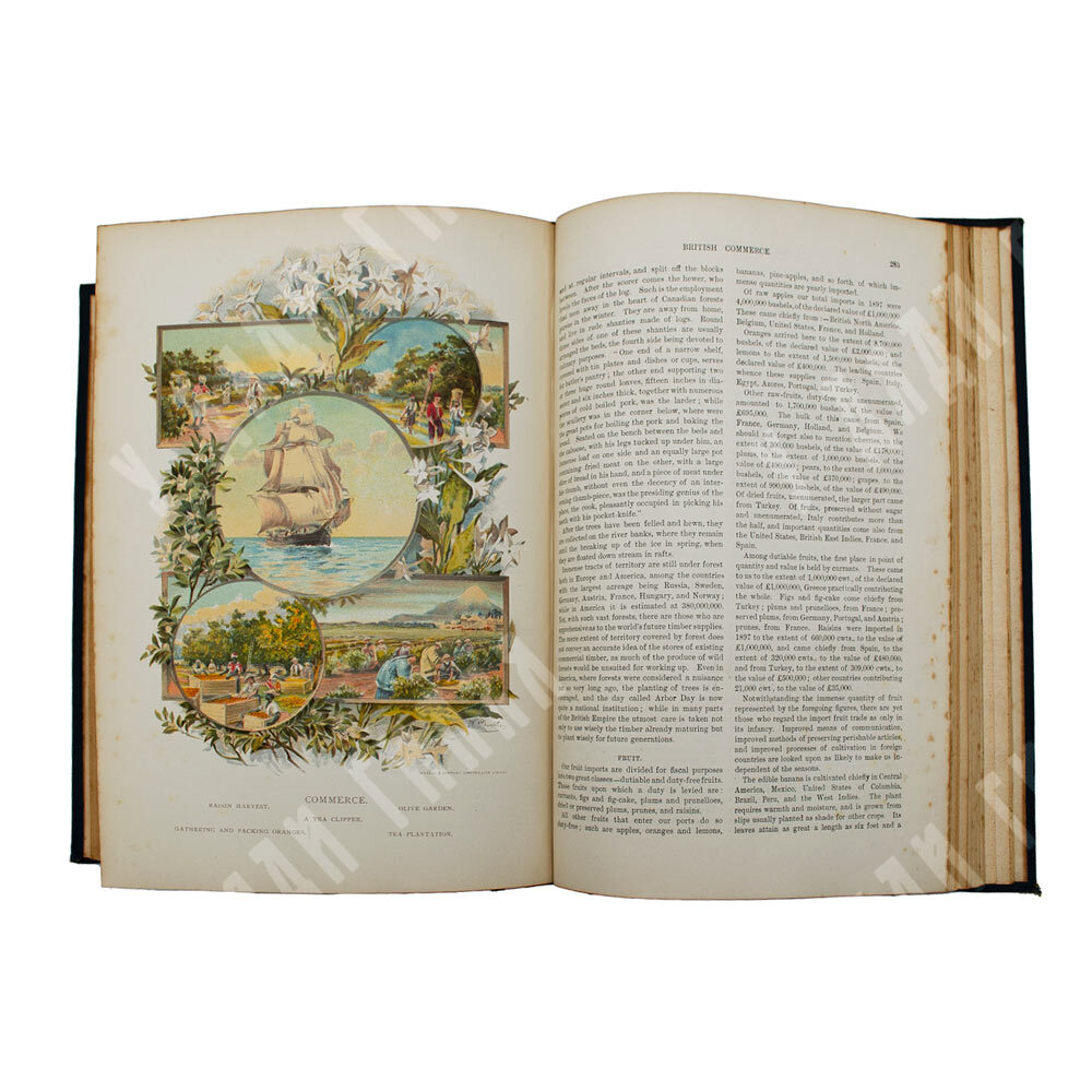 Новый популярный педагог (The New Popular Educator), в 8 Т., 1–8 т. Лондон, 1899