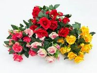 Искуственные цветы и растения