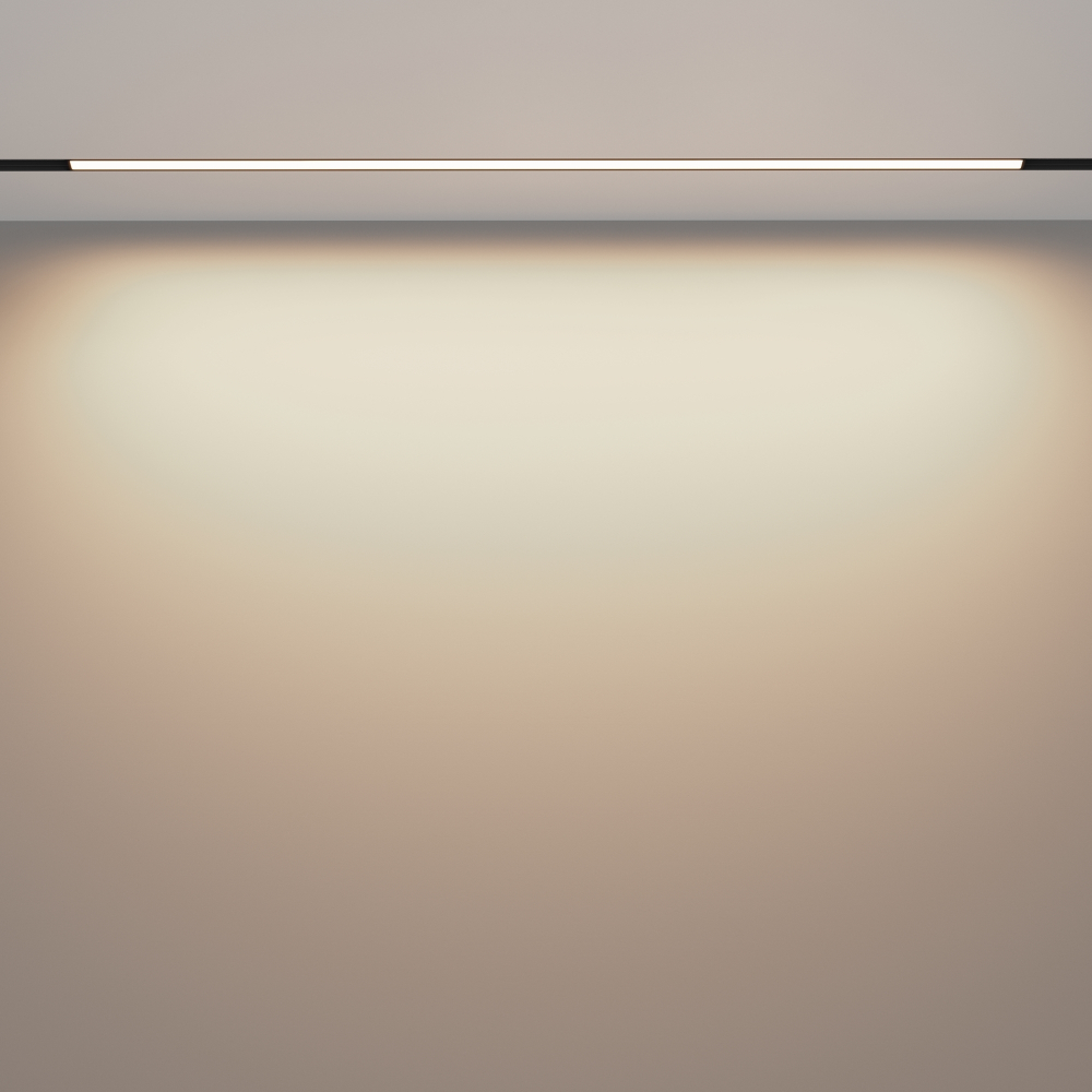 Магнитный трековый светильник Maytoni EXILITY 23мм Basis TR030-4-30WTW-DD2-B