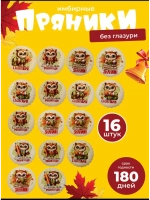 Имбирные пряники на 1 сентября без глазури