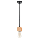 Подвесной светильник Arte Lamp MARK A7048SP-1BK