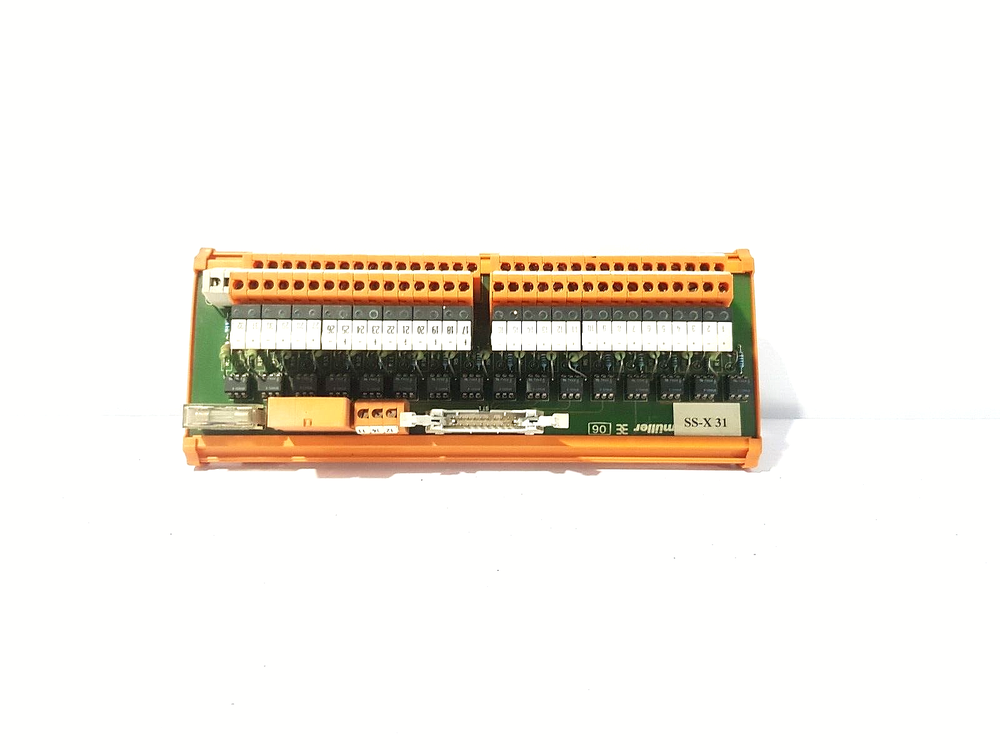 SS-X-31