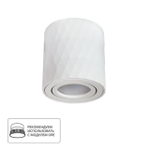 Накладной светильник Arte Lamp FANG A5559PL-1WH