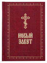 Новый Завет Господа нашего Иисуса Христа. Духовное преображение, Москва