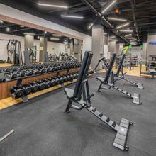 Гантельный ряд силовой (шаг 2,5 кг, 5 пар) PROFI-FIT 27,5-37,5 кг