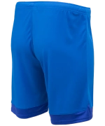 Шорты игровые DIVISION PerFormDRY Union Shorts, синий/темно-синий/белый