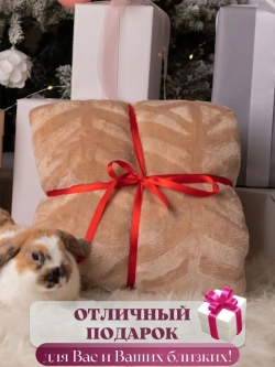 Плед велсофт 200х220 евро