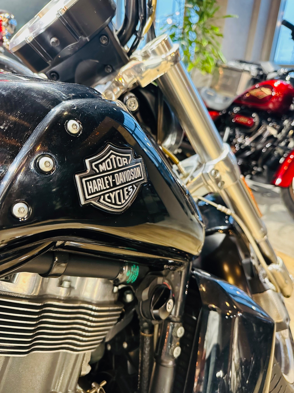 Harley-Davidson V-Rod Muscle, 2010