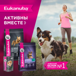 Сухой корм Eukanuba Adult Toy Breed 1+ years для взрослых собак миниатюрных пород с курицей 500 г
