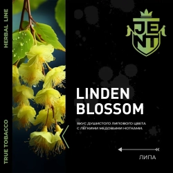JENT 25гр. Липа (Linden Blossom)
