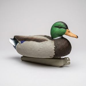 Duck Mania