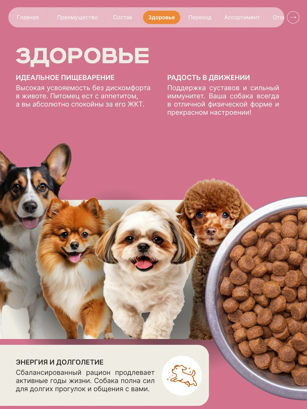 Корм сухой для взрослых собак породы Ши-тцу, с ягненком, 12 кг, QUATTRO