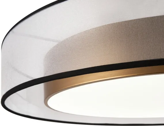 Потолочный светильник Zoticus FR6005CL-L48G Freya