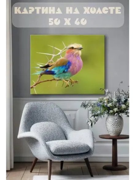 Картина на стену 40 X 50 Цветная птица