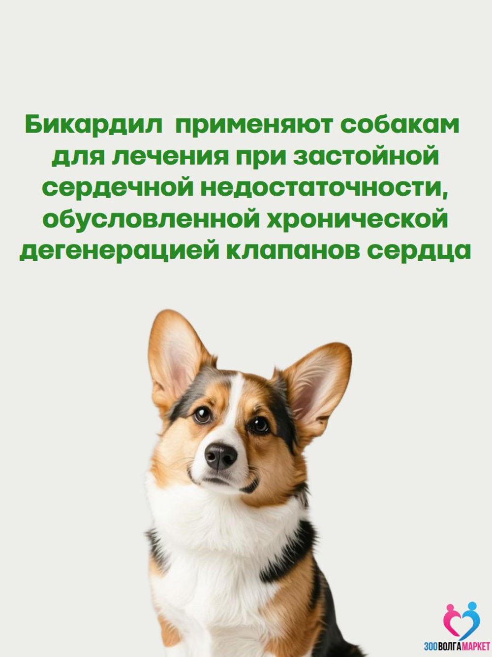 Бикардил 10 мг/80 мг для лечения сердечной недостаточности для собак 20-40 кг, 30 таблеток