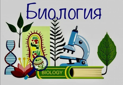 Биология