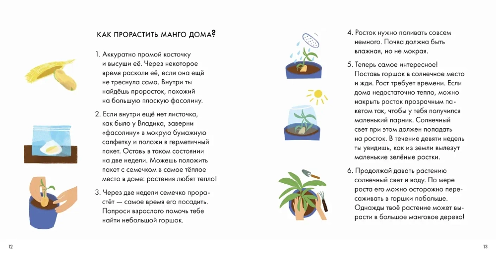 Я знаю, что я ем. Фрукты