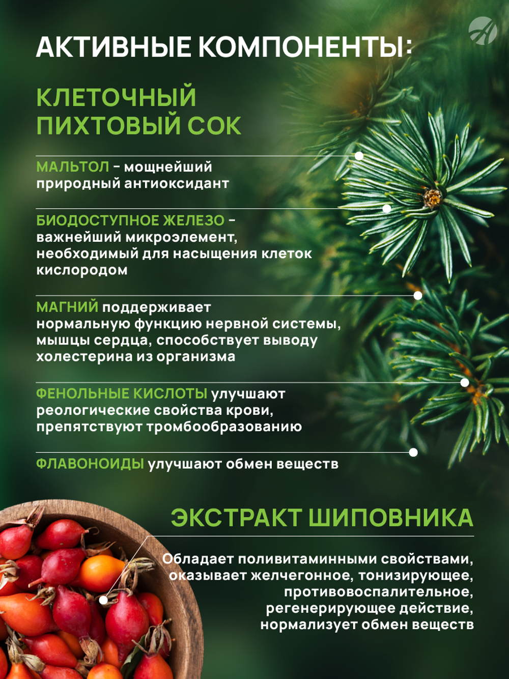 Взвар Абитэль, 250 мл Напиток на основе чистого клеточного сока хвои пихты сибирской (99,5%) и экстракта шиповника