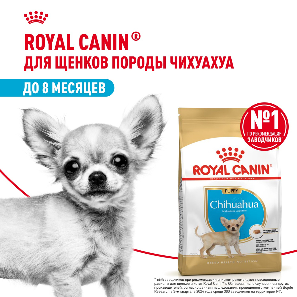 Royal Canin Chihuahua Puppy Чихуахуа Паппи Корм сухой для щенков породы Чихуахуа до 8 месяцев 500г