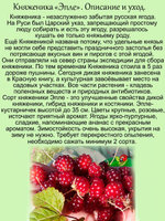 Княженика Эпле полярная малина княжья ягода