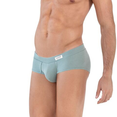 Зеленые трусы-брифы Spirit Piping Brief (Размер: L) (Цвет: зеленый)