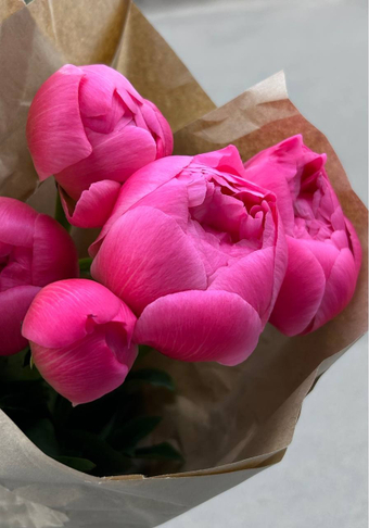 Peony Coral Sunset