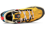 Fresh Foam Hierro New Balance v5 "Varsity Gold Blue"