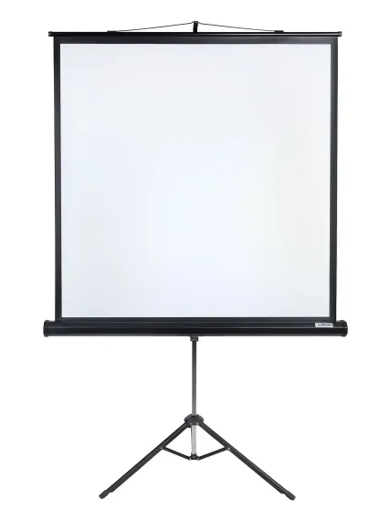LMV-100101 Экран на штативе Lumien Master View