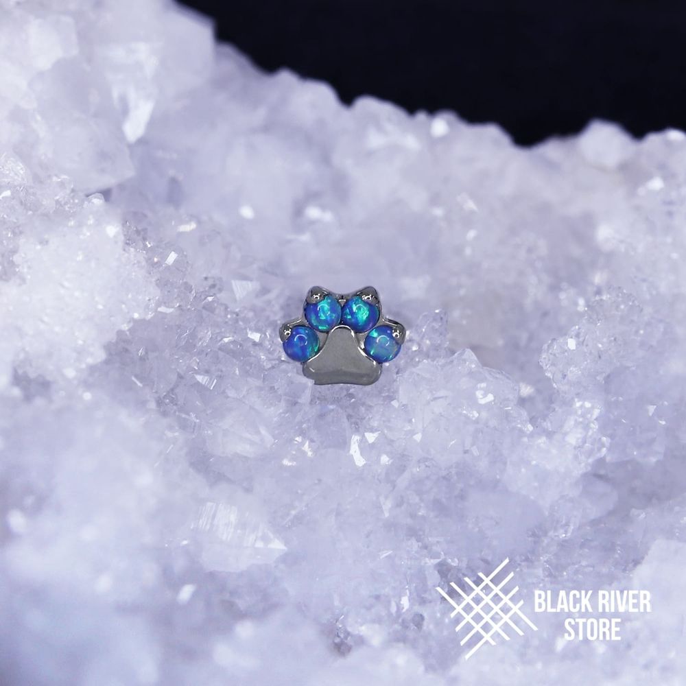 Paw HM Opal #05