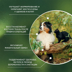 Функциональная кормовая добавка для собак и кошек ProPhyto Остеоплюс, 70 таблеток