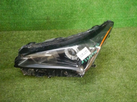 DSCN6515.jpg