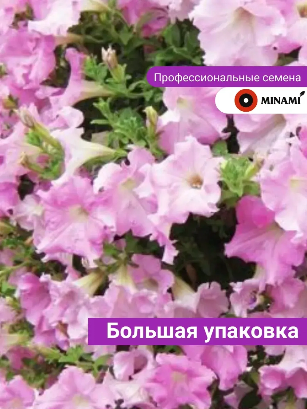 Петуния Даймонд Перли Шейдз F1 ампельная 15шт