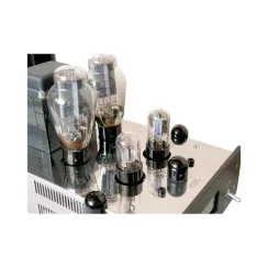 Manley Neo-Classic SE PP 300B