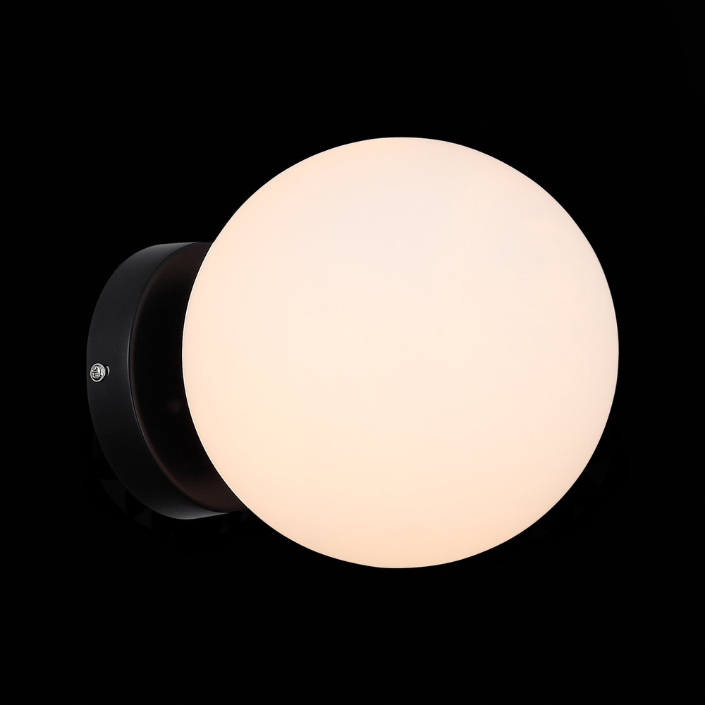 Светильник настенный ST Luce Acini SL717.401.01