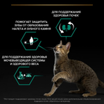 Корм сухой Лосось, для стерилизованных кошек Pro Plan Cat Adult Sterilised, РАЗВЕСНОЙ